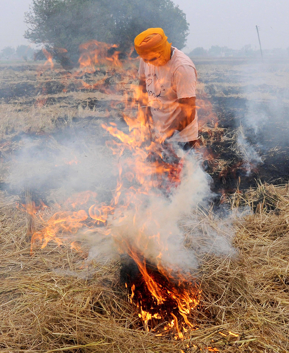 חקלאים שורפים שטחים בעיר אמריטסר זיהום אוויר הודו (צילום: EPA)