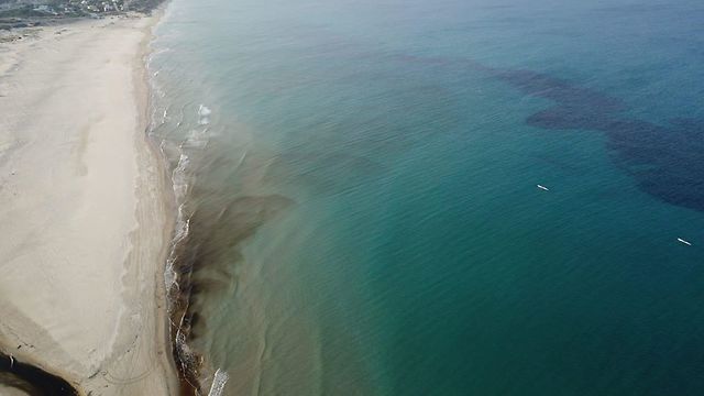 הזיהום בחוף בית ינאי (צילום: ארז הררי)