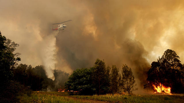 שריפות יער במזרח אוסטרליה (EPA)