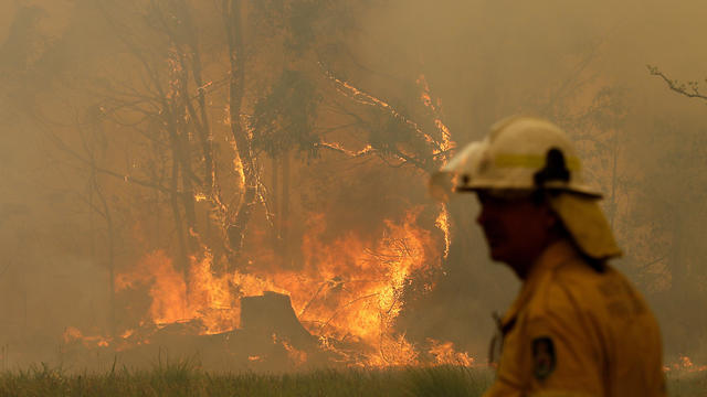 שריפות יער במזרח אוסטרליה (EPA)