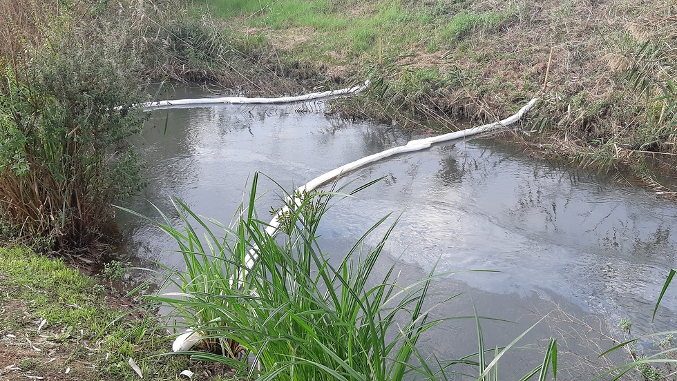 הזיהום בנהר הירדן (צילום: דותן חרוש, רשות הטבע והגנים)