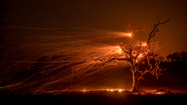 Wildfires in California, October (Photo: EPA)