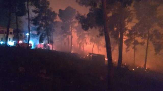 Пожар в Галилее. Фото: пресс-служба пожарной охраны