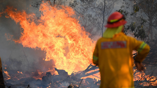 אוסטרליה שריפות שריפה אש ניו סאות' וויילס (צילום: EPA)