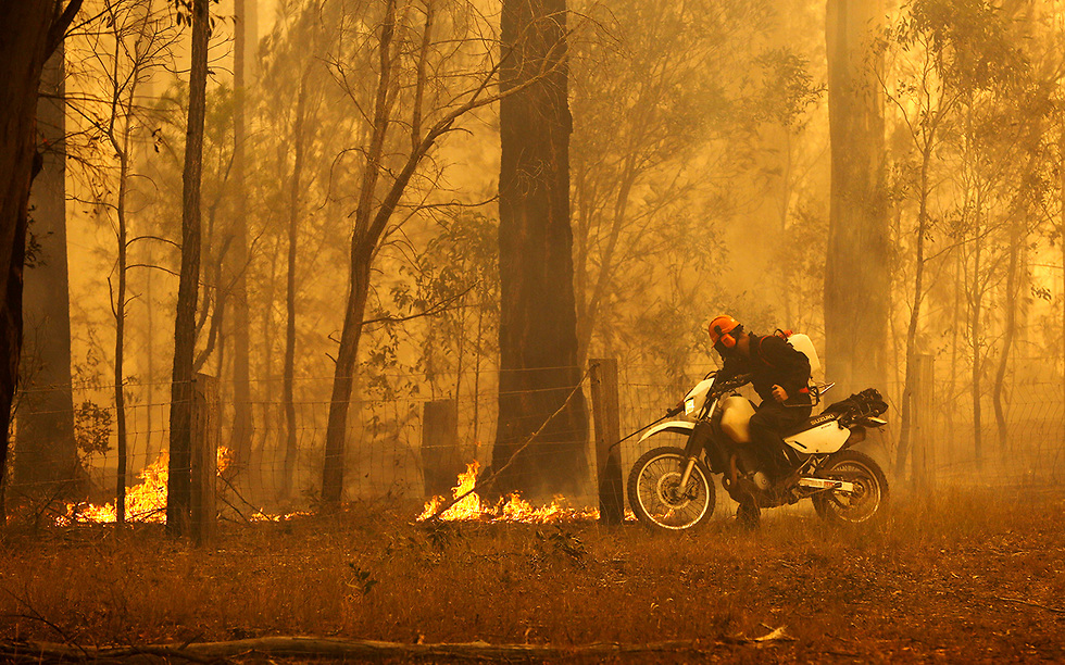 אוסטרליה שריפות שריפה אש ניו סאות' וויילס (צילום: EPA)