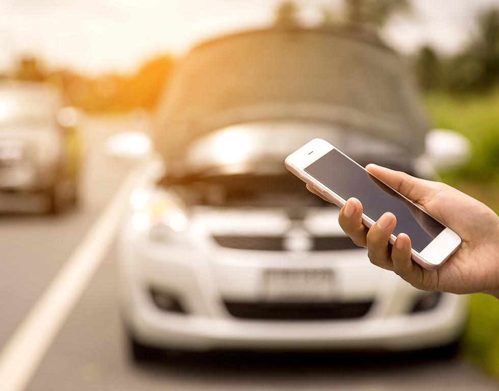 צילום: shutterstock צילום: shutterstock