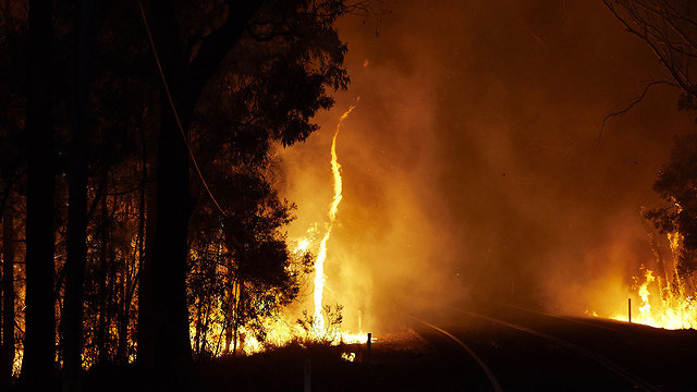 שריפה  שריפות ב מזרח אוסטרליה ניו סאות' ויילס (צילום: gettyimages)