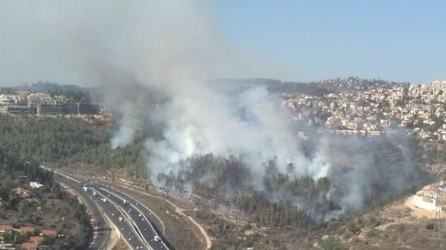 Пожар возле Иерусалима. Фото: Эли Мендельбаум