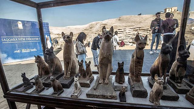 פסלים של בעלי חיים (צילום: AFP)