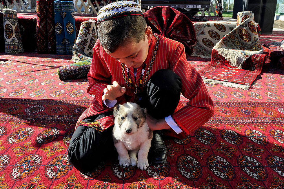 טורקמניסטן כלב כלבים אלביי אלבאי (צילום: AFP)