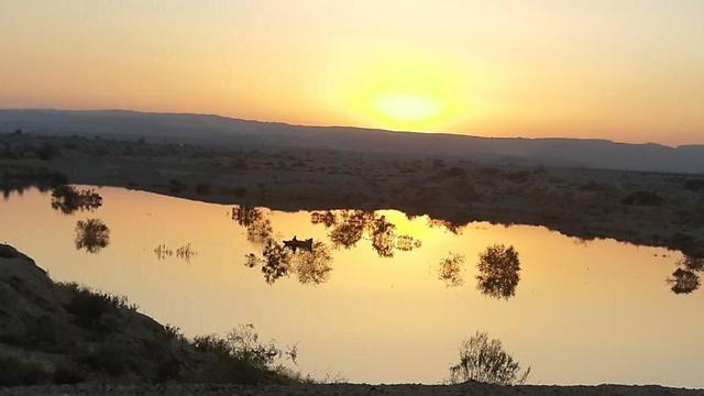 Закат в пустыне Арава. Фото: Ципи Гадиш