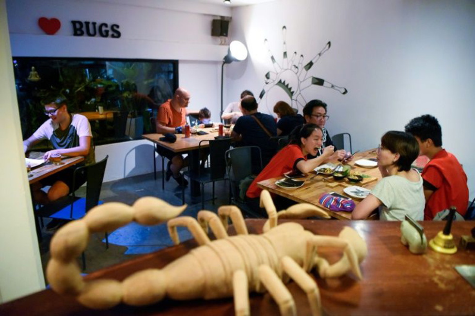 Bug cafe, Фото: AFP