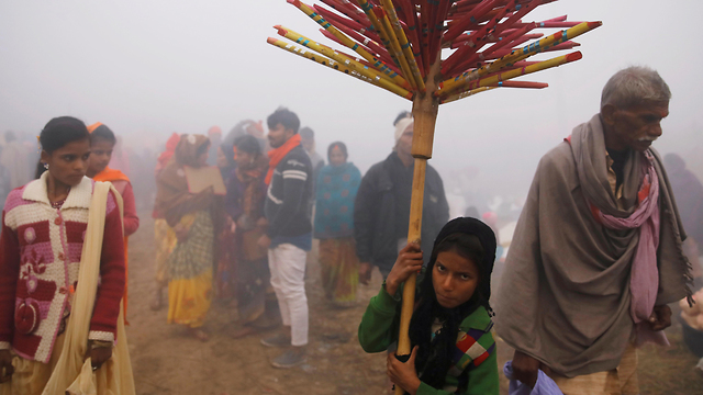 נפאל באפלו תאו חג טקס דתי הקרבה בעלי חיים (צילום: רויטרס )