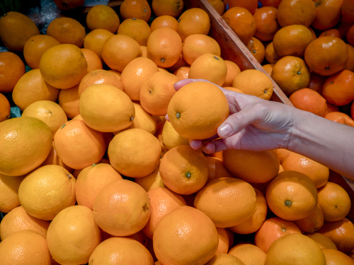 Апельсины шамути. Фото: shutterstock