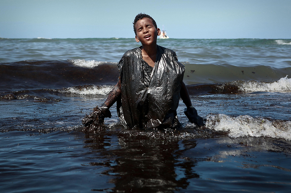 תמונות השנה AFP ילד יוצא מהמים מאמצים לניקוי נפט שנשפך בים ברזיל (צילום: AFP)
