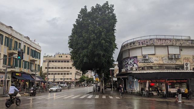 מזג אוויר סוער בתל אביב (צילום: סיון חילאי)