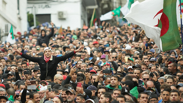 אלג'יריה מחאה נגד בחירת הנשיא החדש עבד אל-מג'יד תבון (צילום: mct)