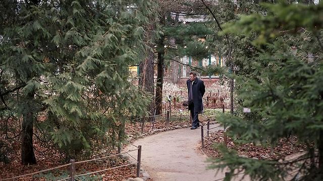 אין שלג. הגן הבוטני באוניברסיטת מוסקבה (צילום: רויטרס)