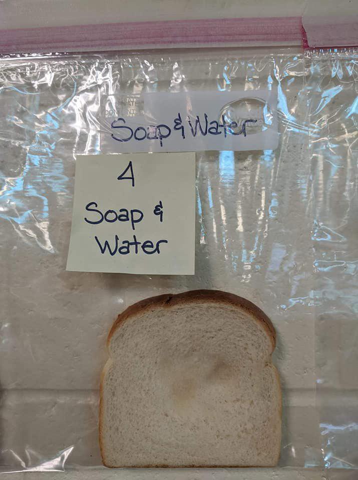 פרוסת הלחם שנגעו בה אחרי שטיפת ידיים במים וסבון (מדף הפייסבוק של Jaralee Annice Metcalf)