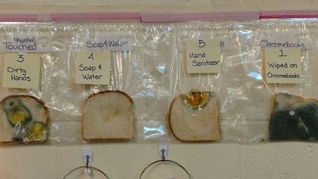 Эксперимент с ломтиками хлеба. Фото со страницы в фейсбуке: Jaralee Annice Metcalf