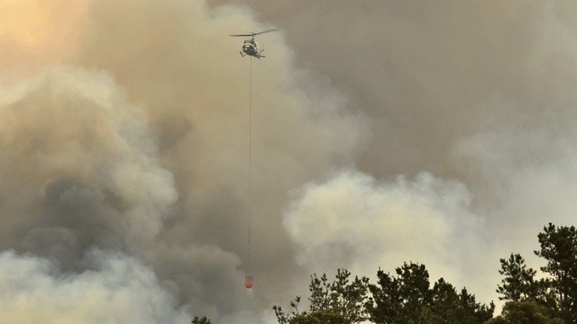 אוסטרליה שריפה שריפות ניו סאות' וויילס אזור סידני (צילום: AFP)