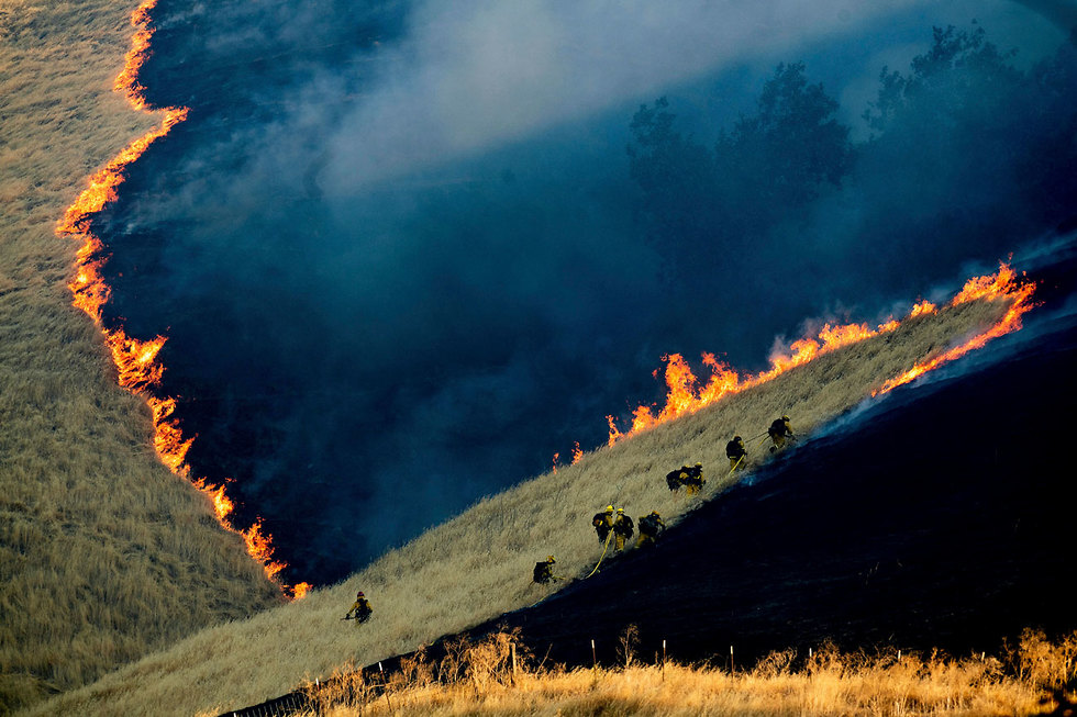 תמונות השנה AP יער שנשרף ליד שדה אמזונס ברזיל (צילום: AP)