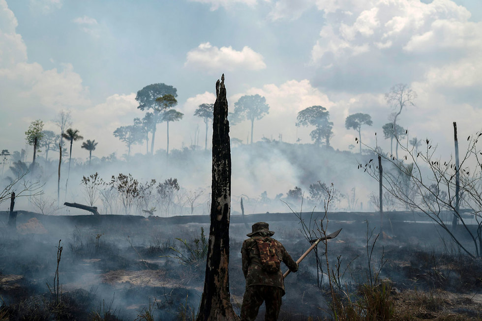 תמונות השנה AP יער שנשרף ב אזור נובו פרוגרסו ברזיל (צילום: AP)