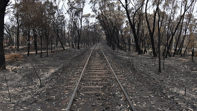שריפות ניו סאות' וויילס אוסטרליה (צילום: EPA)