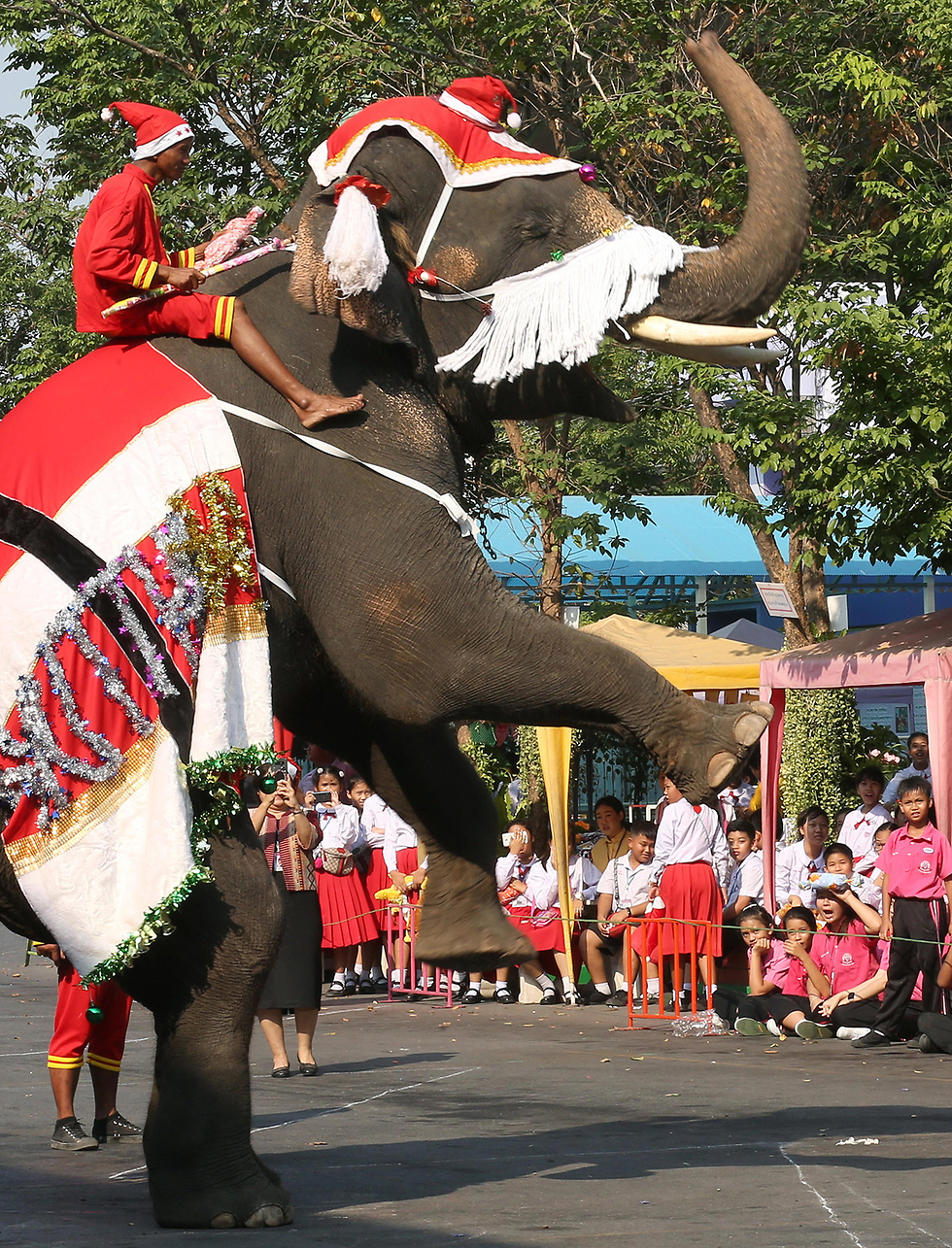 חג המולד פיל סנטה קלאוס מצפון ל בנגקוק תאילנד (צילום: EPA)