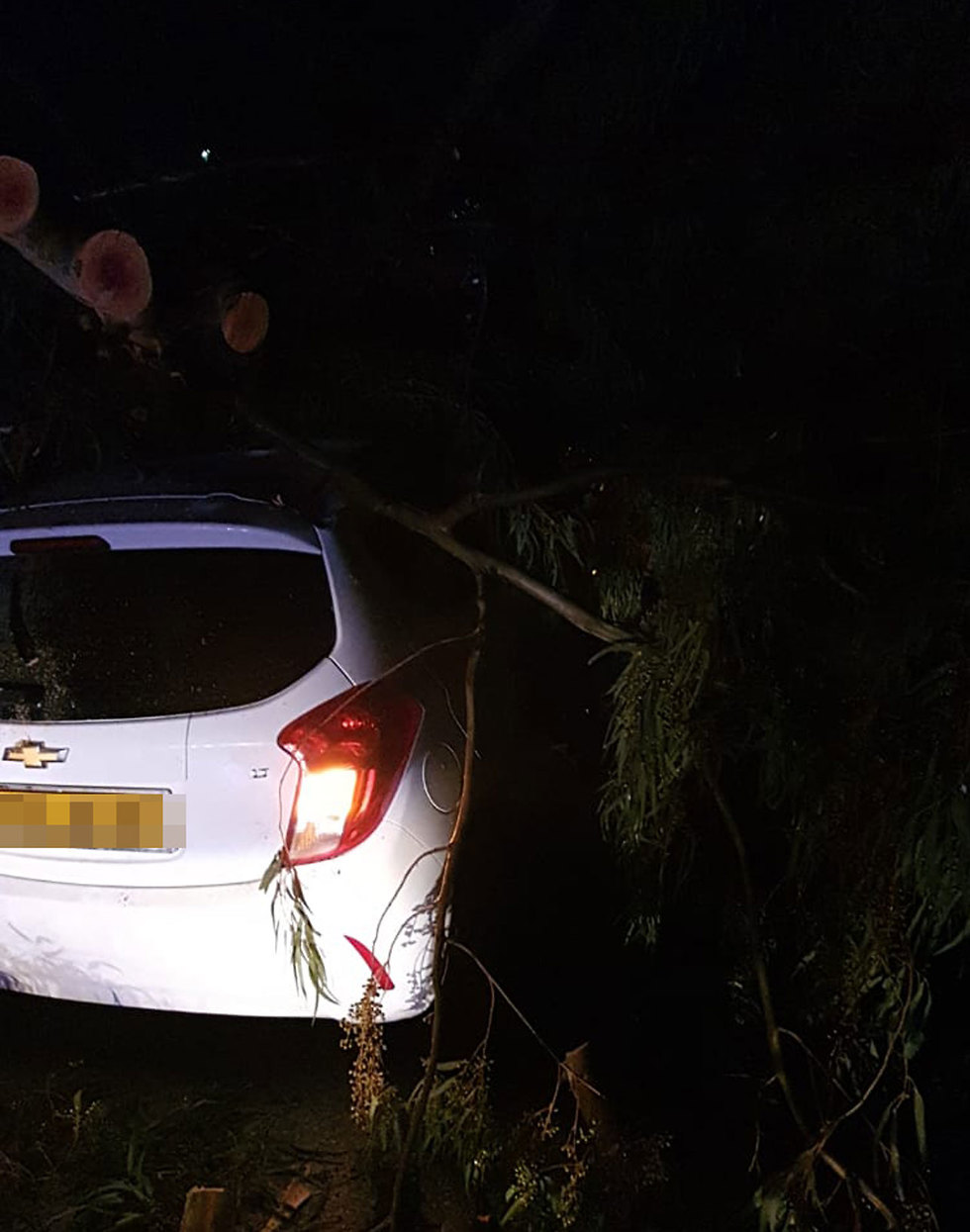 נשר חילוץ נהג קריסת עץ על רכב מזג אוויר (צילום: דוברות כבאות והצלה חיפה)