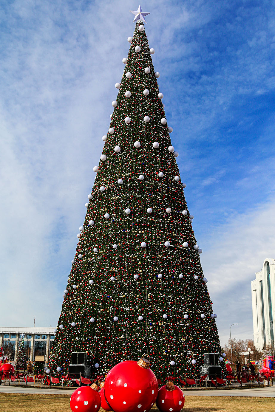 Главная елка на центральной площади перед cенатом. Фото: Макс Лурье