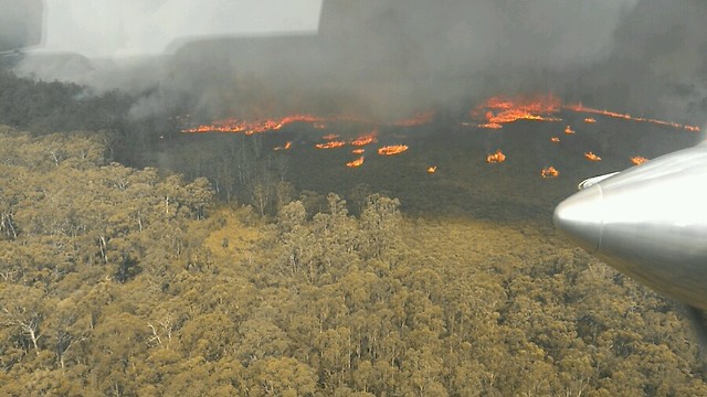השריפות בגיפסלנד שבמדינת המחוז ויקטוריה באוסטרליה (צילום: DELWP Gippsland)