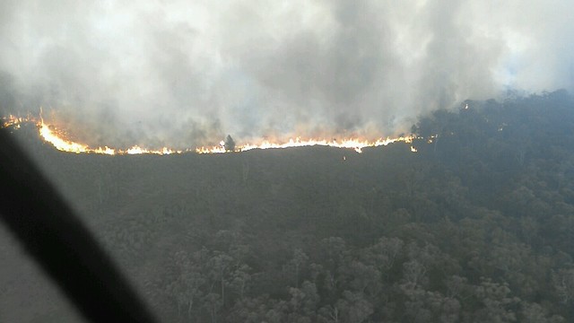 השריפות בגיפסלנד שבמדינת המחוז ויקטוריה באוסטרליה (צילום: DELWP Gippsland)
