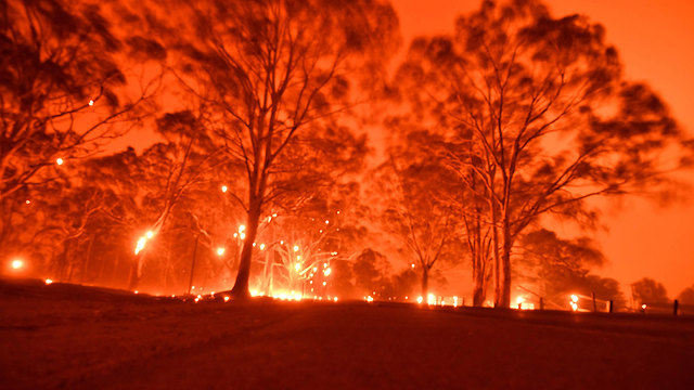 אוסטרליה נוורה שריפות שריפה ניו סאות' וויילס (צילום: AFP)