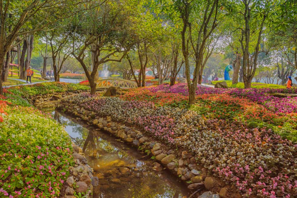 Фестиваль цветов в Чианграe - 2020 Фото: tingsriton chairat/shutterstock