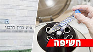צילום: דוברות בתי הדין הרבניים, shutterstock