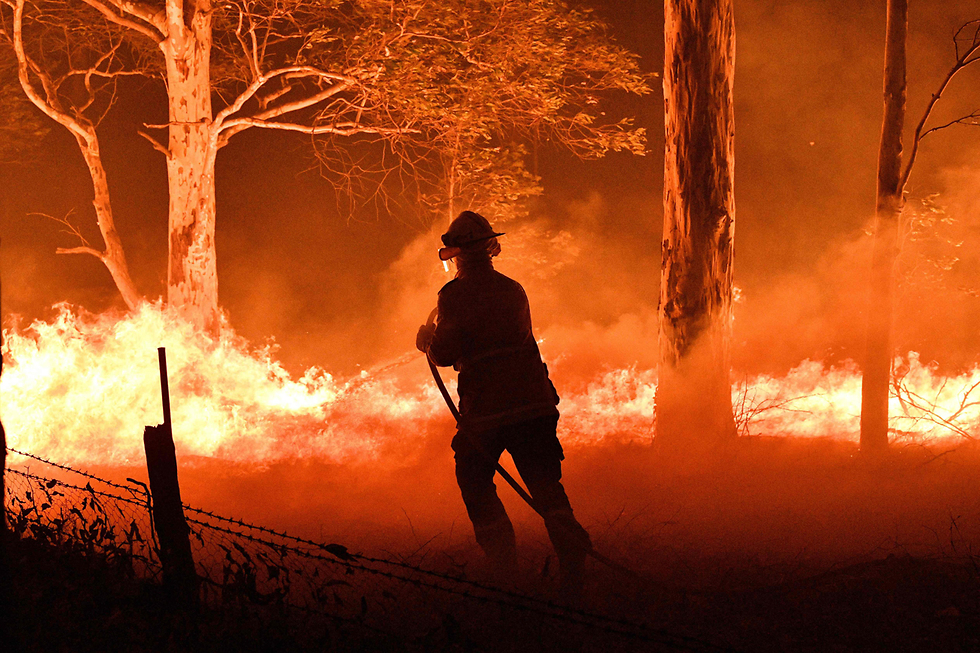 שריפות אוסטרליה אש ניו סאות' וויילס (צילום: AFP)