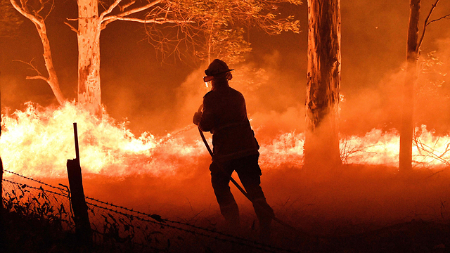 שריפות אוסטרליה אש ניו סאות' וויילס (צילום: AFP)
