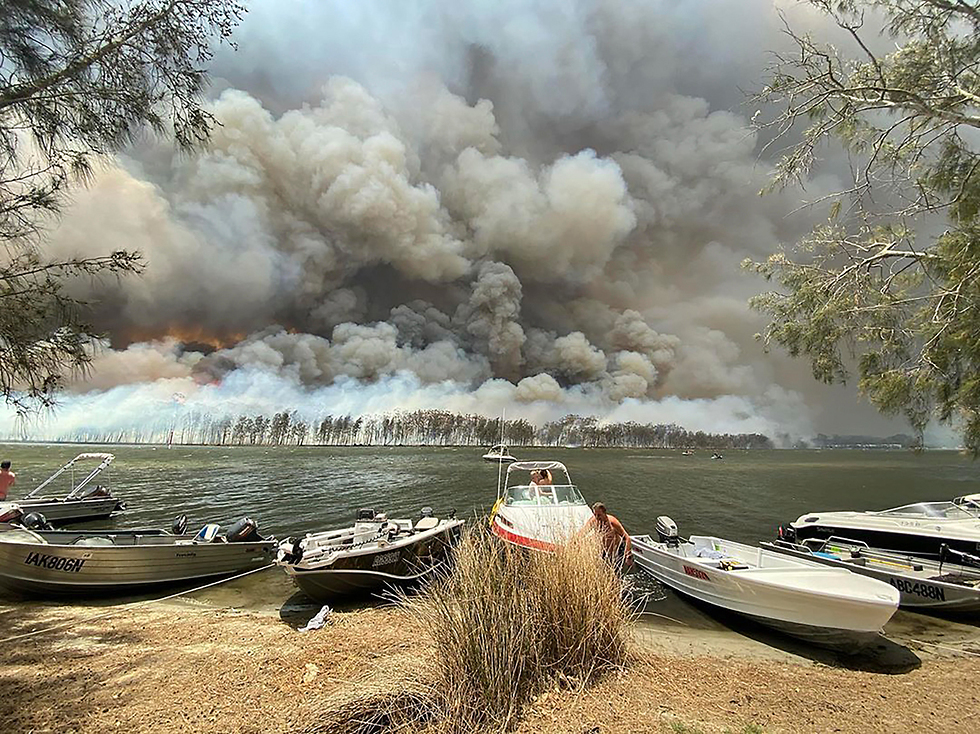 אוסטרליה  שריפה  שריפות  ניו סאות' וויילס (צילום: AP)