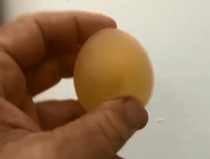 Яйцо без скорлупы - редкое явление. Кадр из клипа