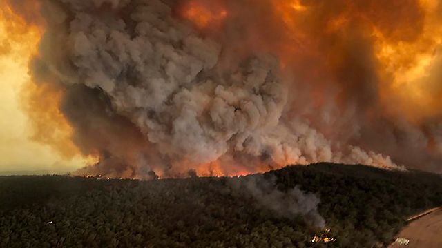  שריפות באוסטרליה (צילום: AP)