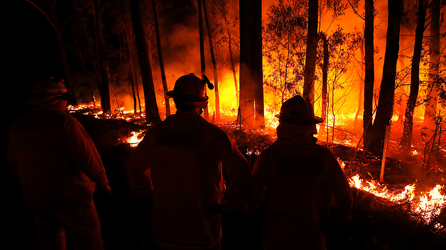  שריפות באוסטרליה (צילום: MCT)