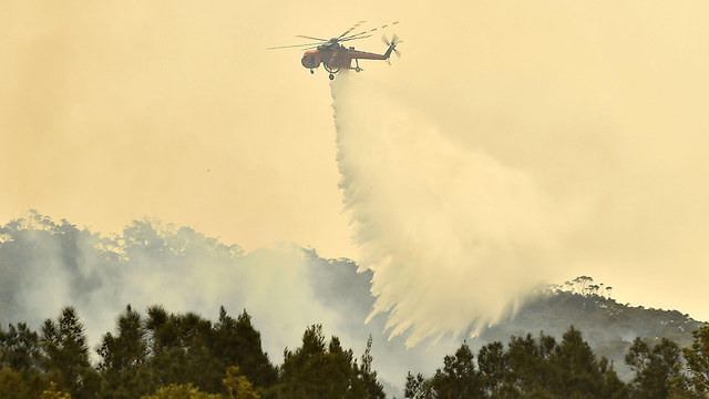 שריפות באוסטרליה (צילום: AFP)
