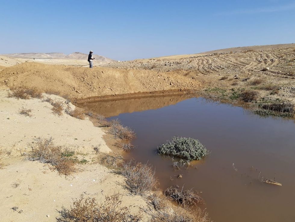 מחסומים הוקמו כדי למנוע מהביוב לזרום להמשך הנחל (צילום: ג׳אמיל אלאטרש, רשות הטבע והגנים)