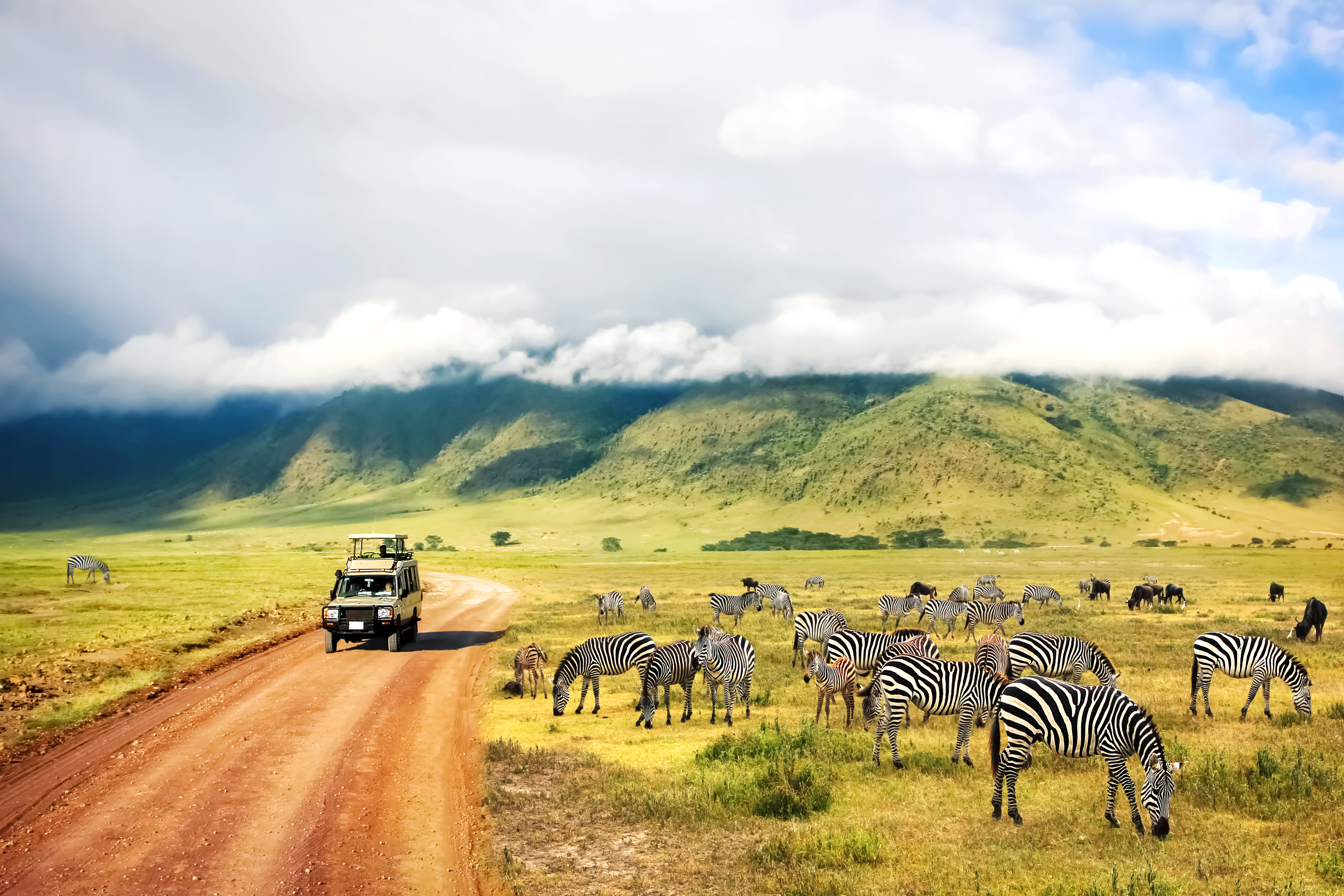טנזניה (צילום: shutterstock)