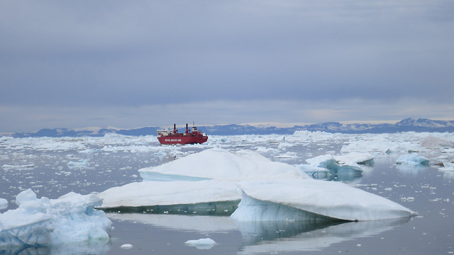 המסת קרחונים קרחון גרינלנד (צילום: קווין קראג'יק)
