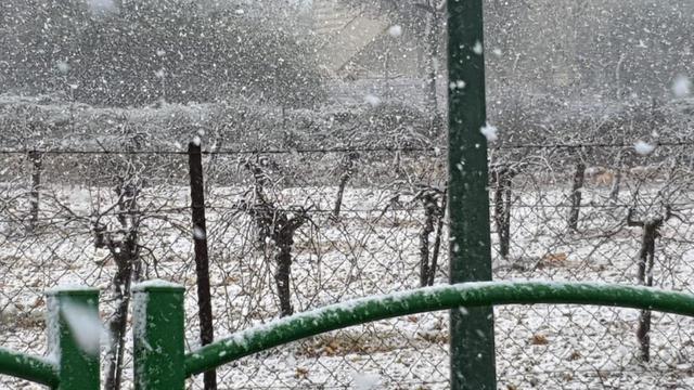 Снег в Гуш-Эционе. Фото: полиция округа ШАЙ