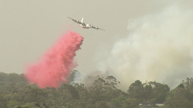 אוסטרליה מטוס הרקולס כיבוי שריפות (צילום: רויטרס)