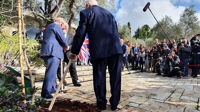 Британский принц сажает дерево в Иерусалиме. Фото: Барэль Эфраим