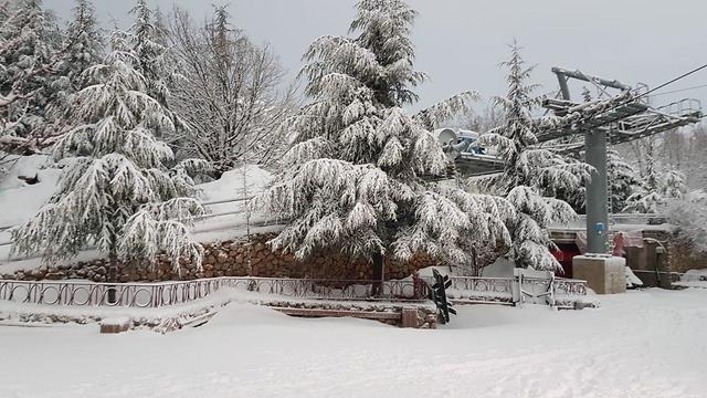 Снег на Хермоне. Фото: пресс-служба комплекса